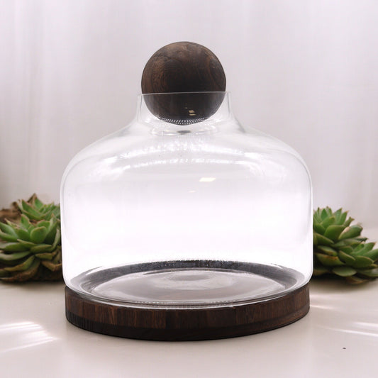 Glass Terrariums on Dark Tung Wood