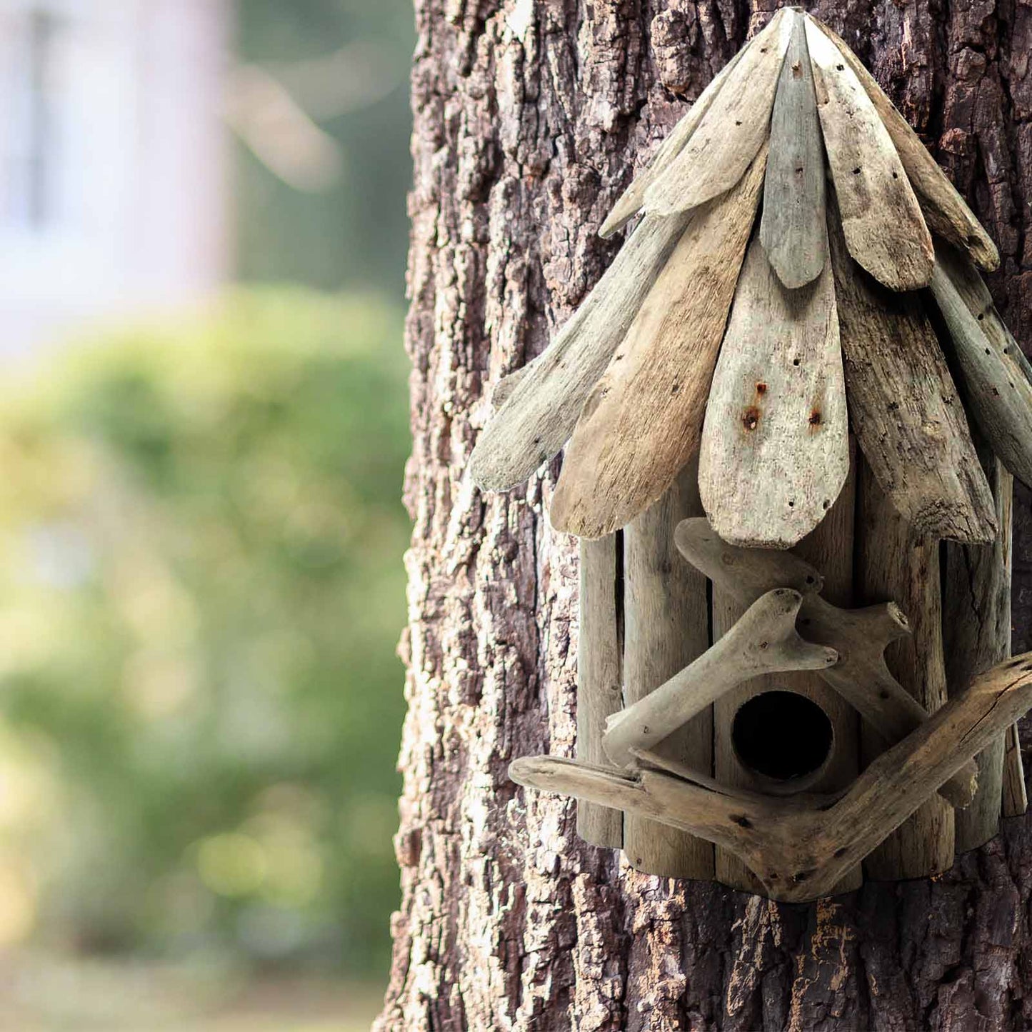 Driftwood Bird box