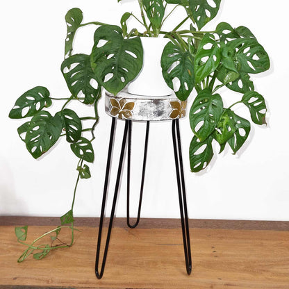 Albasia Wood Plant Stand