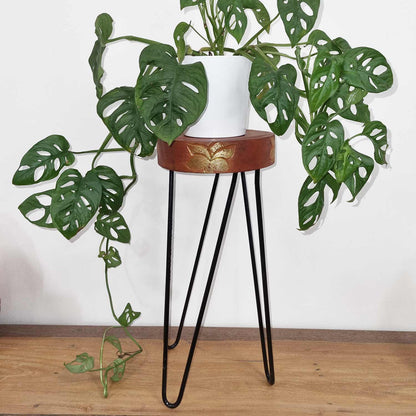 Albasia Wood Plant Stand