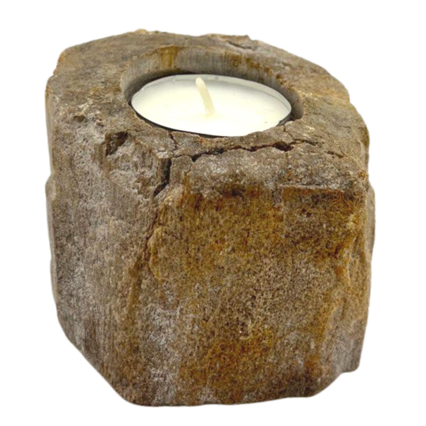 Petrified Wood Candle Holder