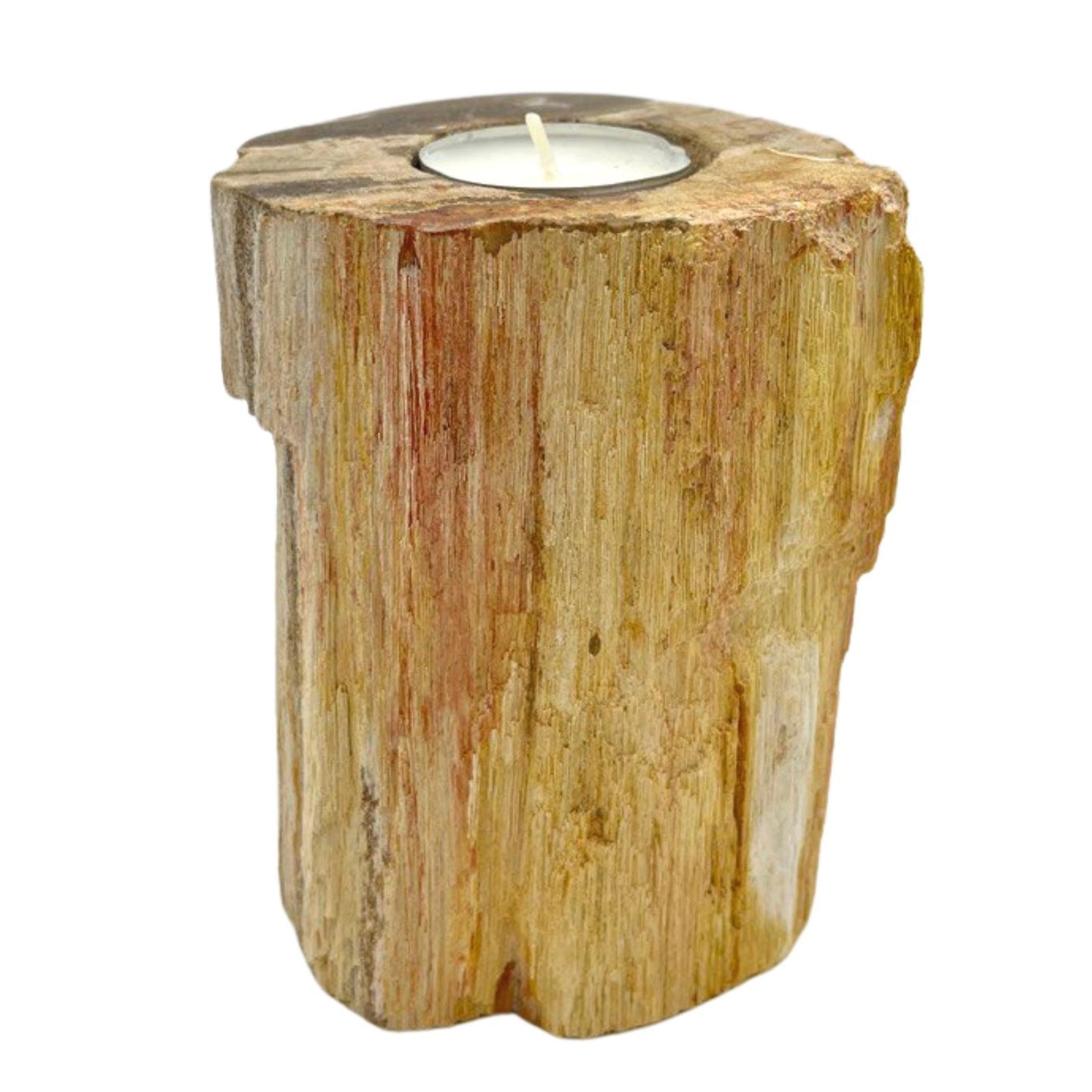 Petrified Wood Candle Holder