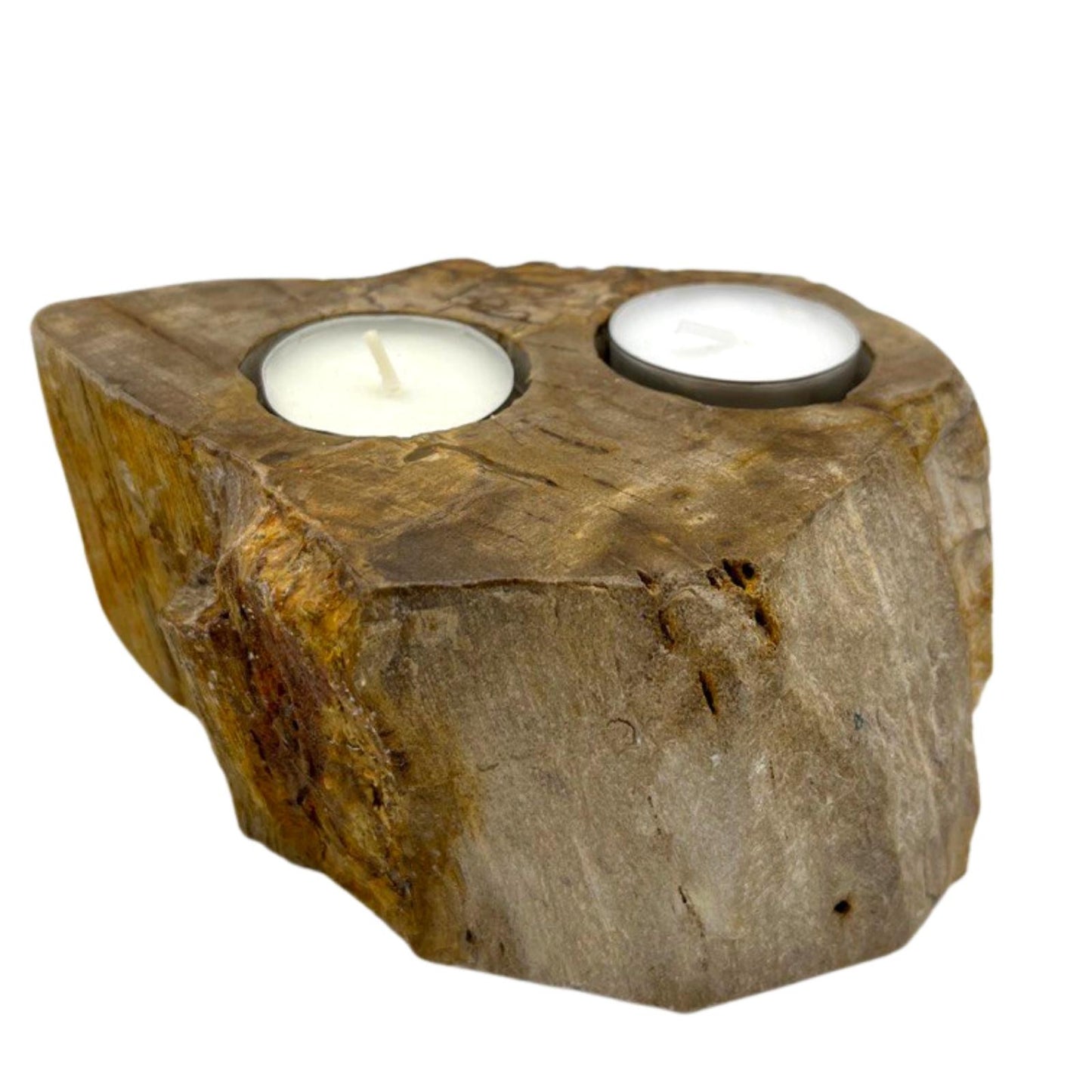 Petrified Wood Candle Holder