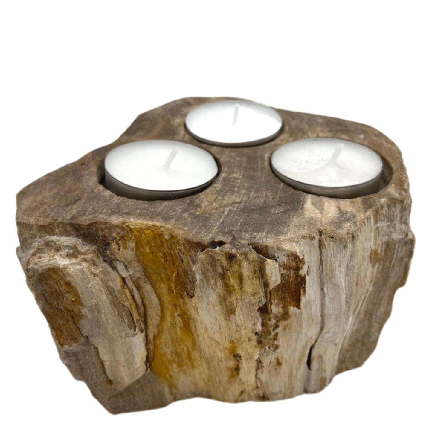 Petrified Wood Candle Holder